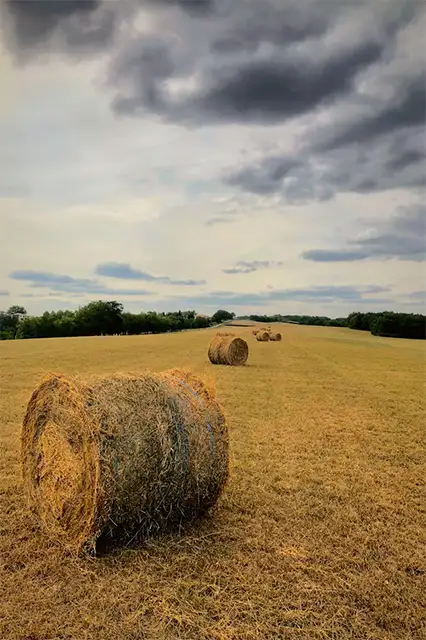 Showcase van RentaLink routers